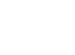 WEALTHCONS